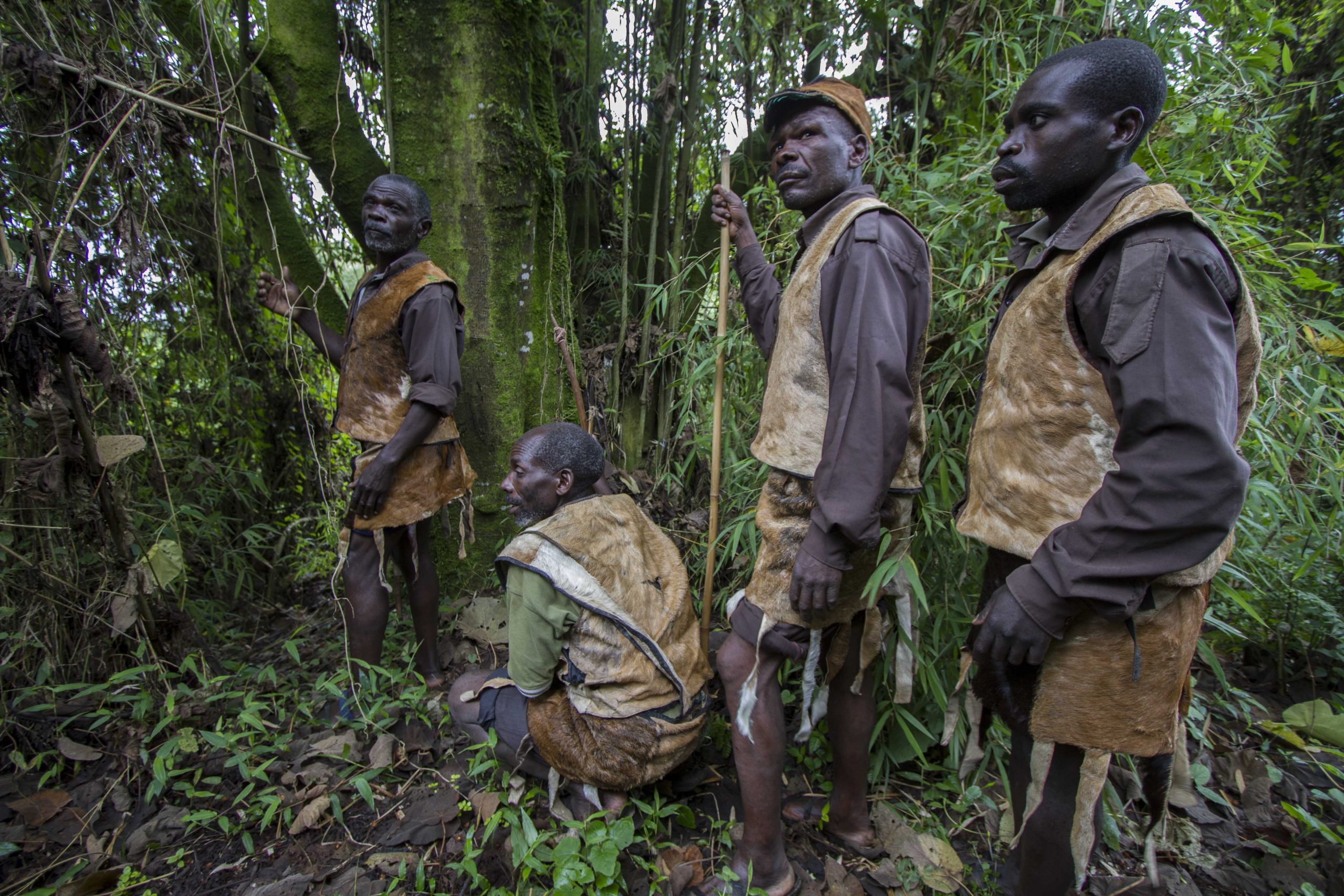 Batwa Cultural tours