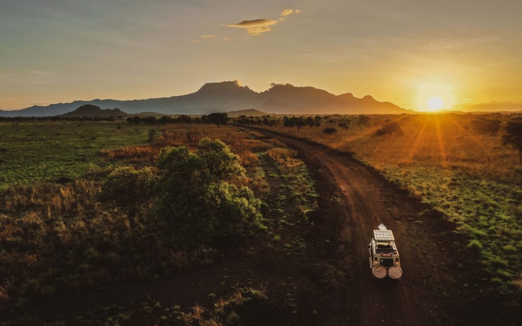 African Safari