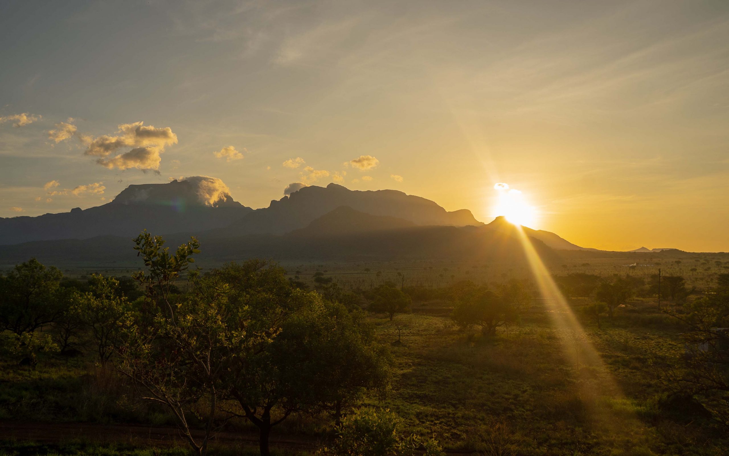 Sunset Over the Savannah on a Uganda Safari