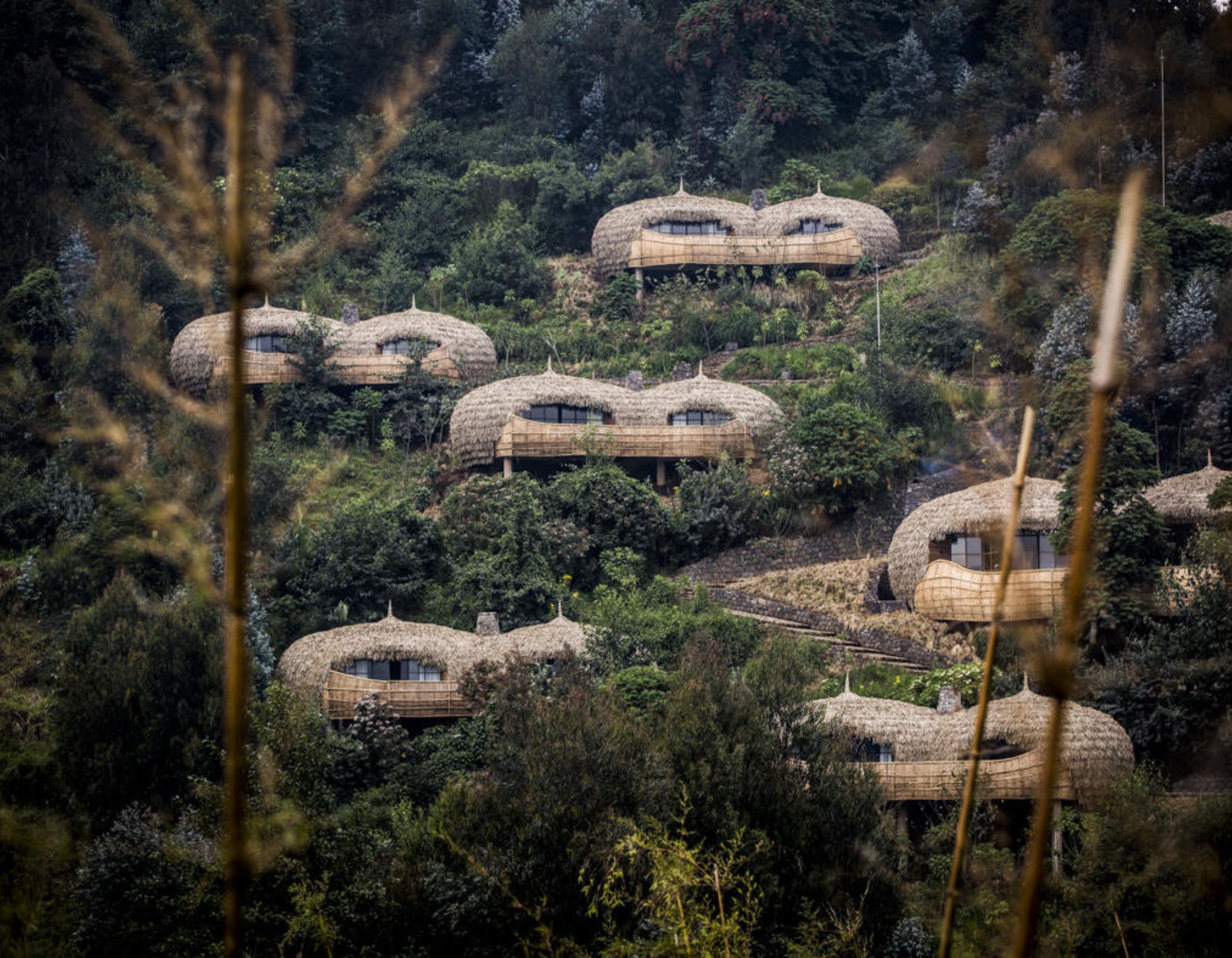 Bisate Lodge- Rwanda 