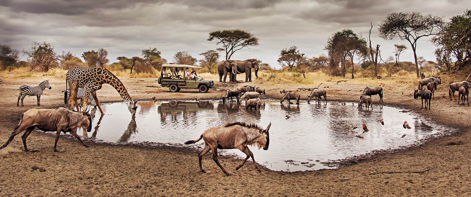 Serengeti National Park