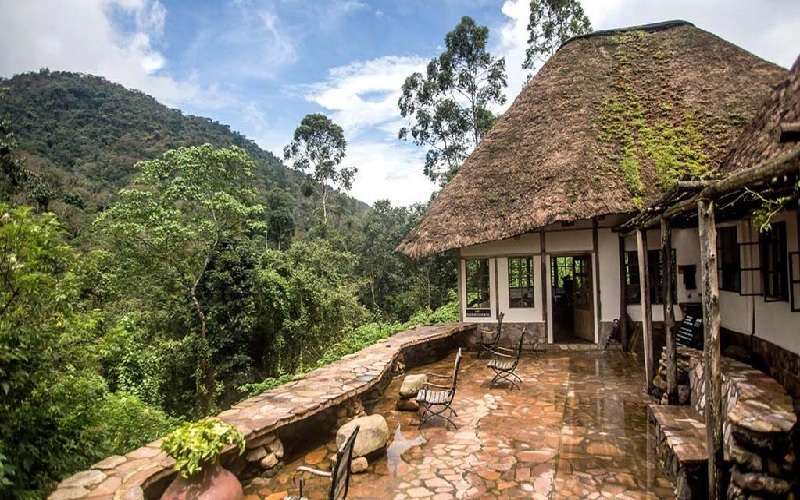 Scenic view from Clouds Mountain Gorilla Lodge, overlooking the misty Virunga Volcanoes in Uganda