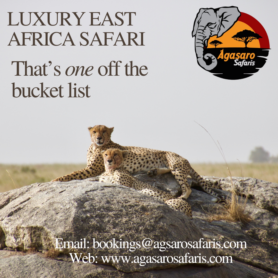 Luxury Safaris in East Africa