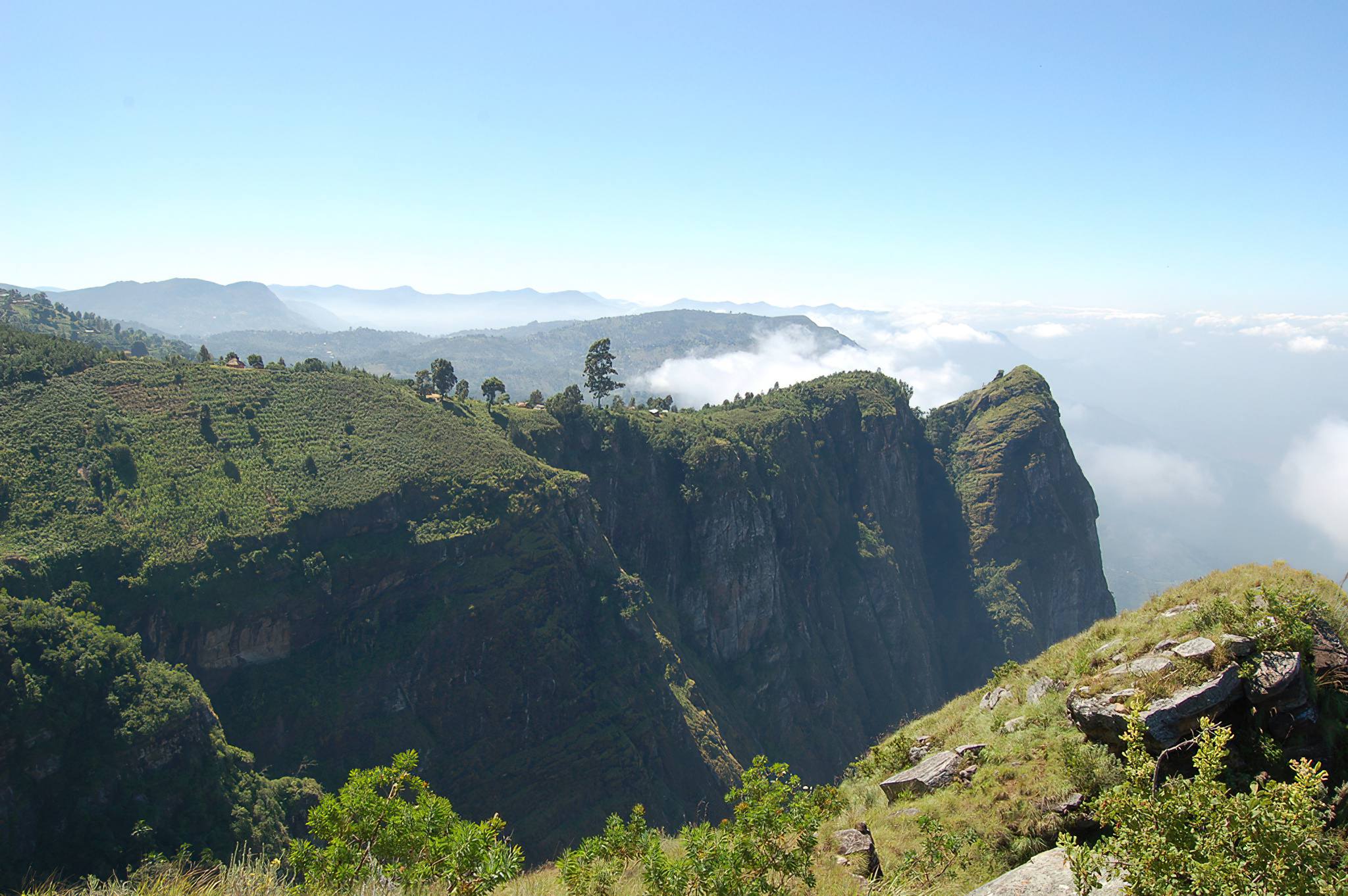 Usambara Mountains