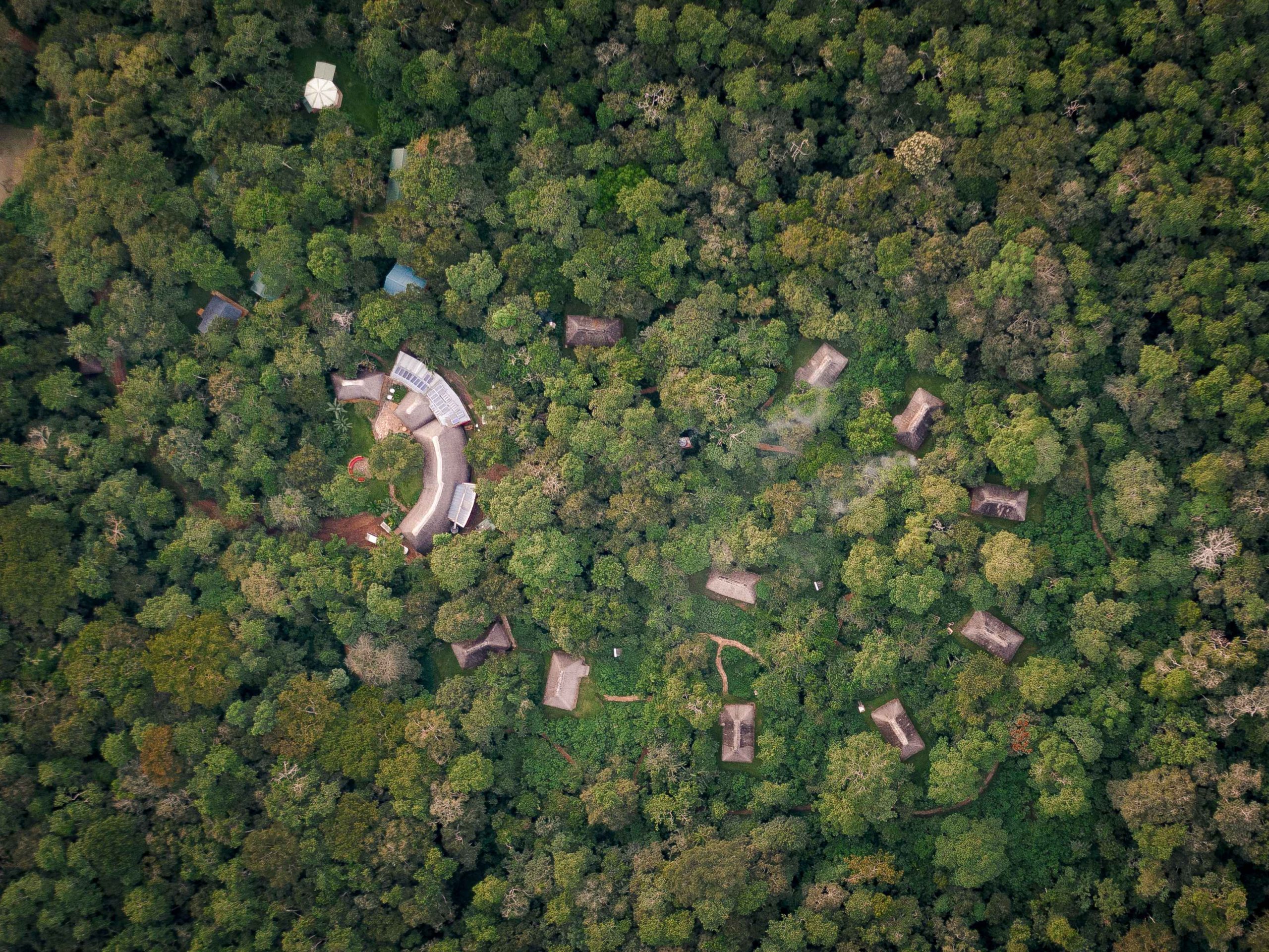 Primate lodge Kibale National Park