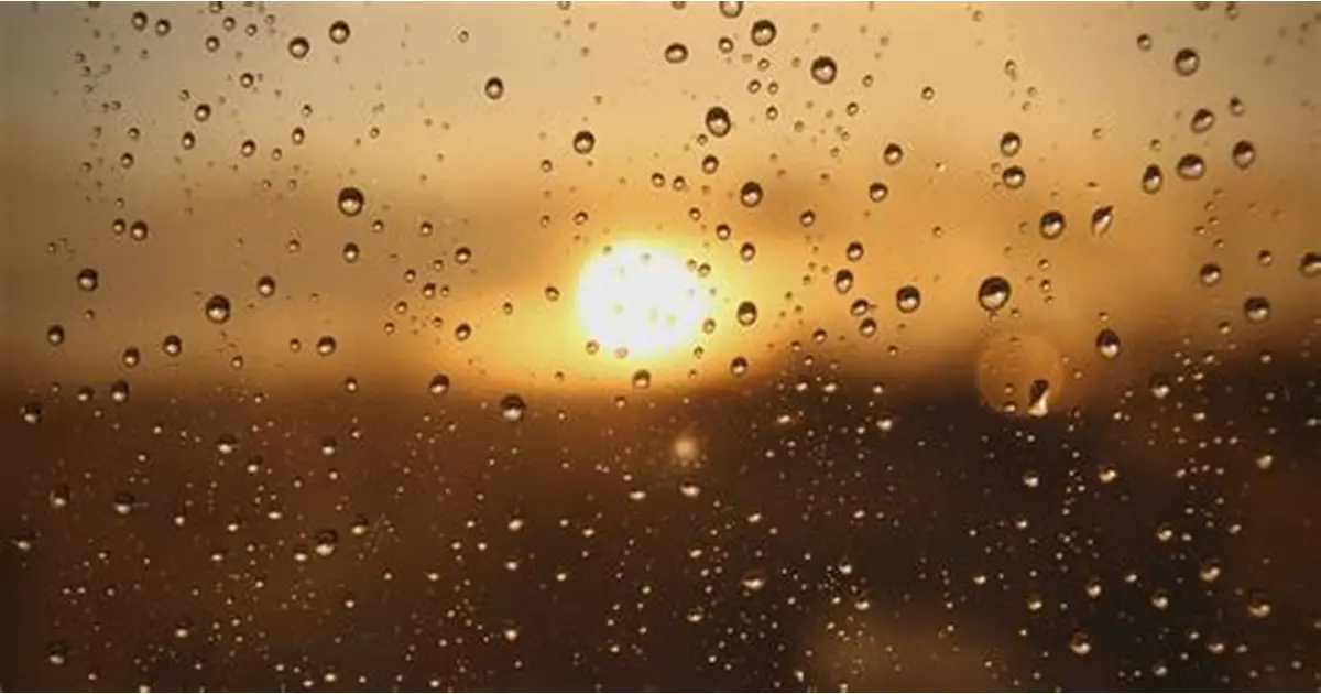Ultimate East Africa Weather Guide 2026