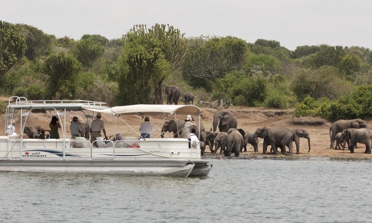 Kazinga Channel Boat Cruise along River Nile