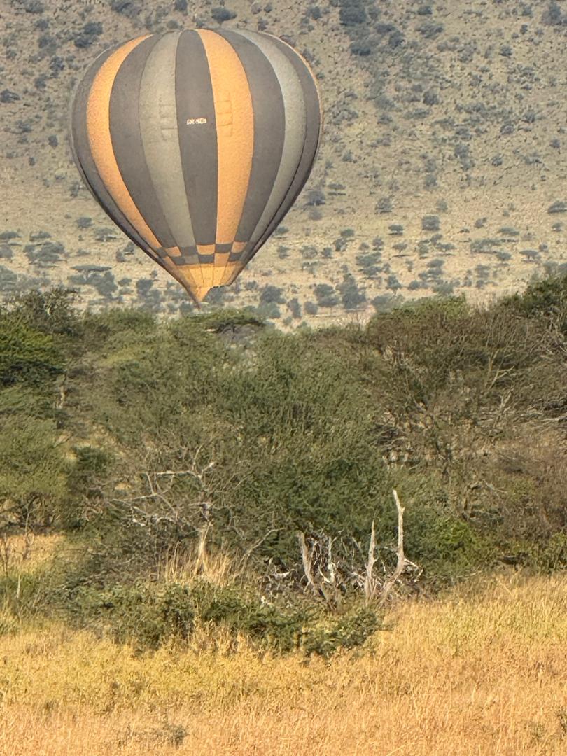 a hot air balloon in the sky