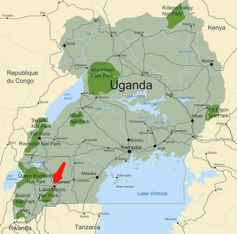 Top Uganda Wildlife Spots