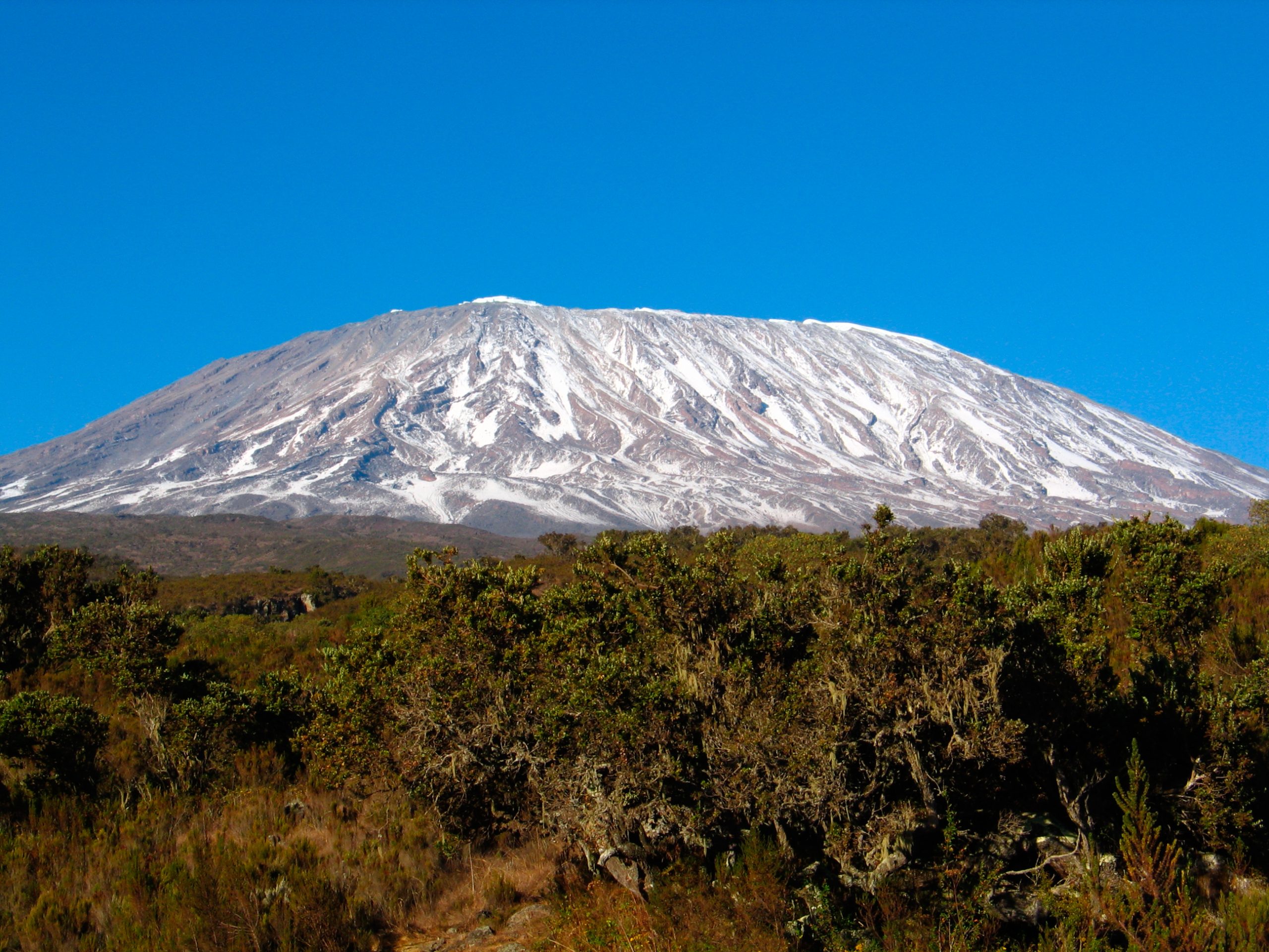 Mountain Kilimanjaro View 