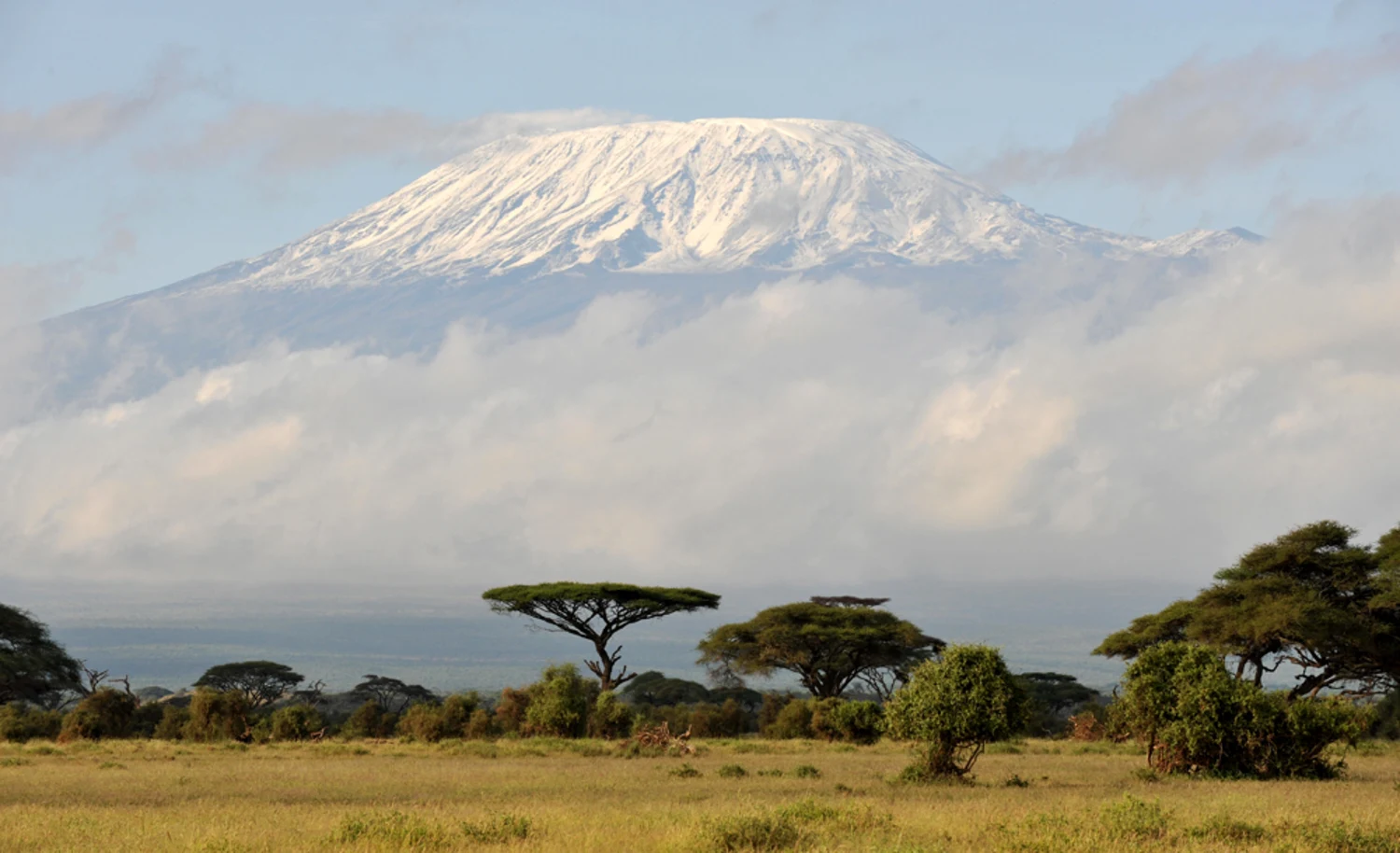 Mountain Kilimanjaro View- Tanzania