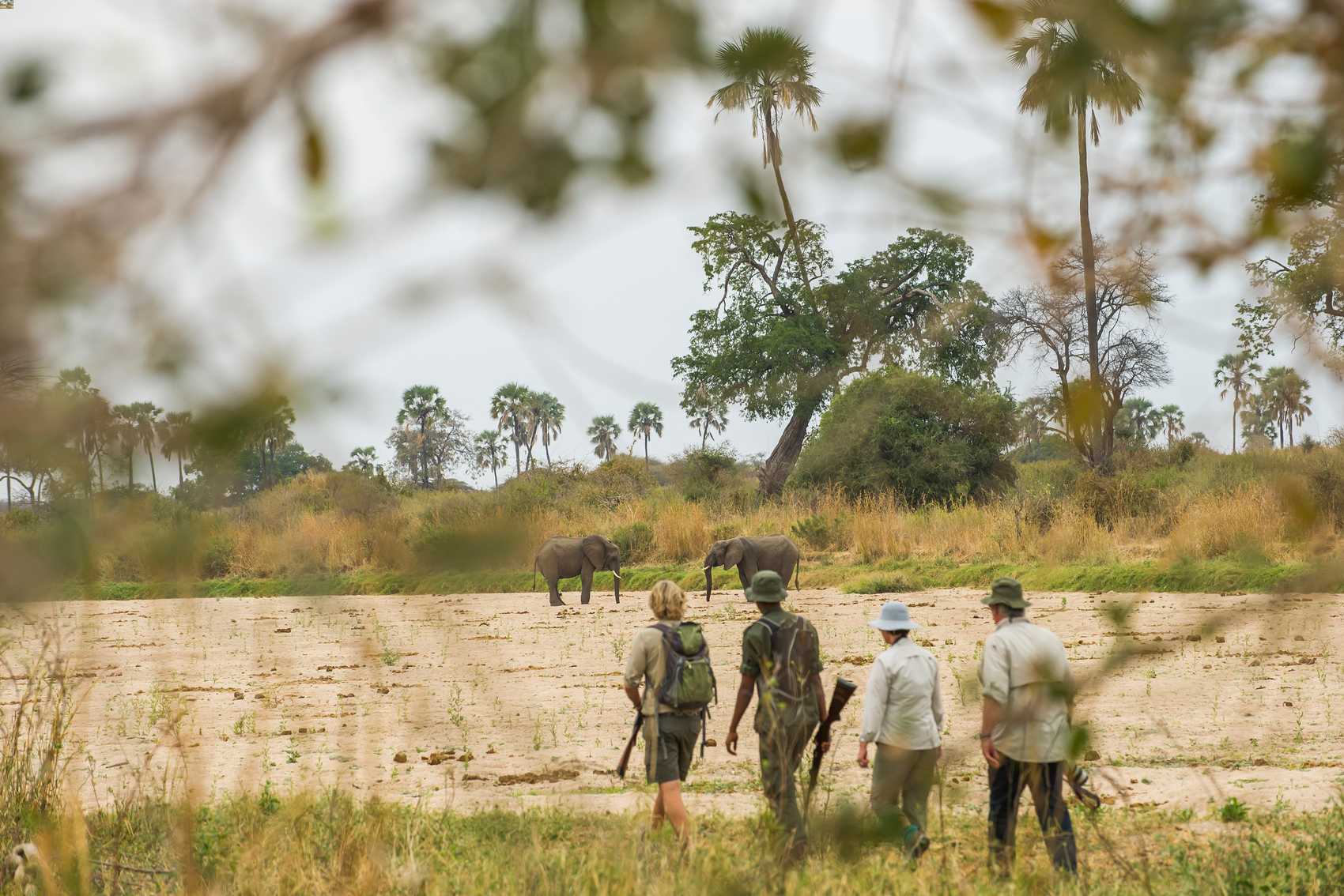 Ruaha Bush Walking Safaris