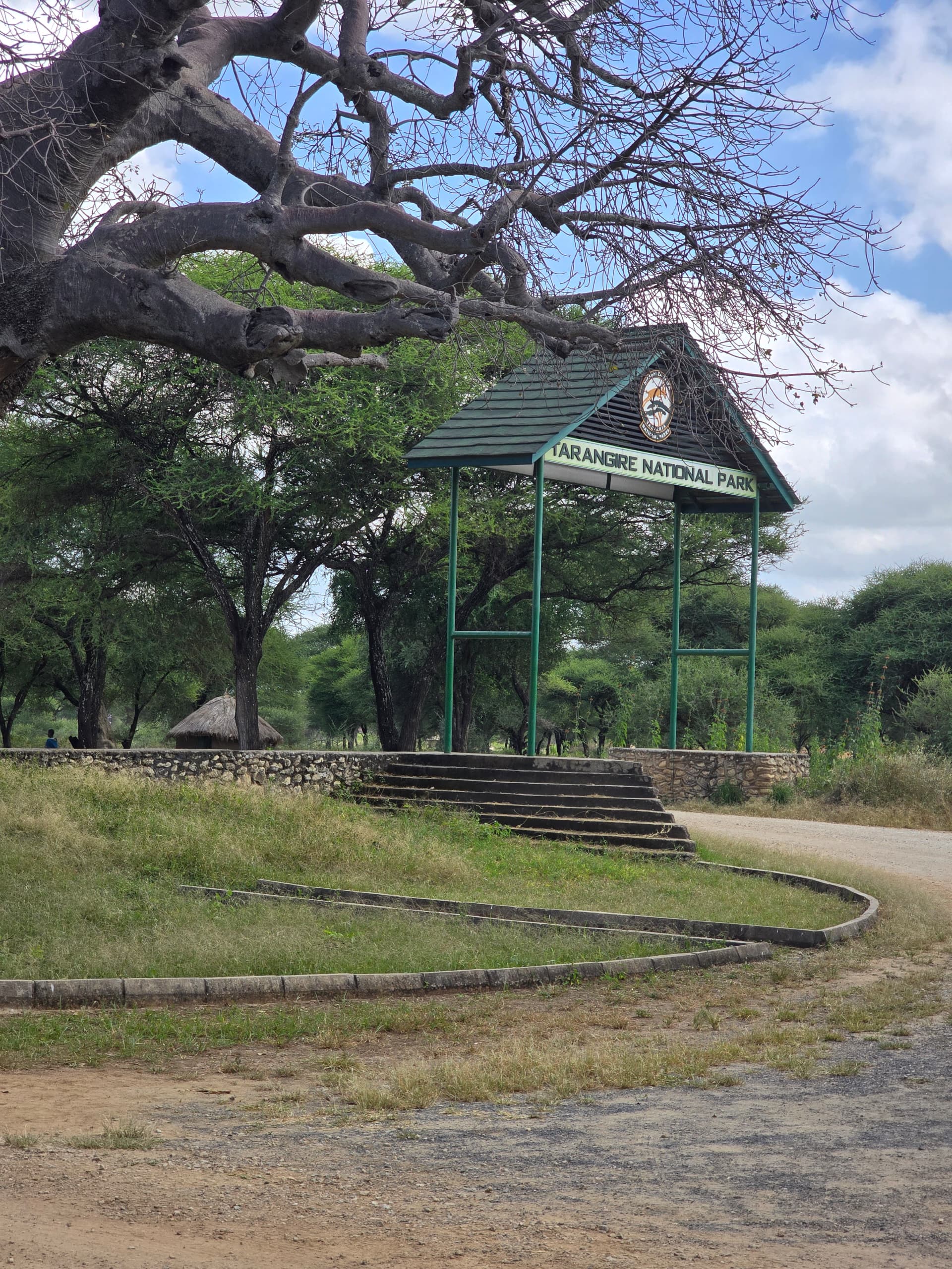 Tarangire NP