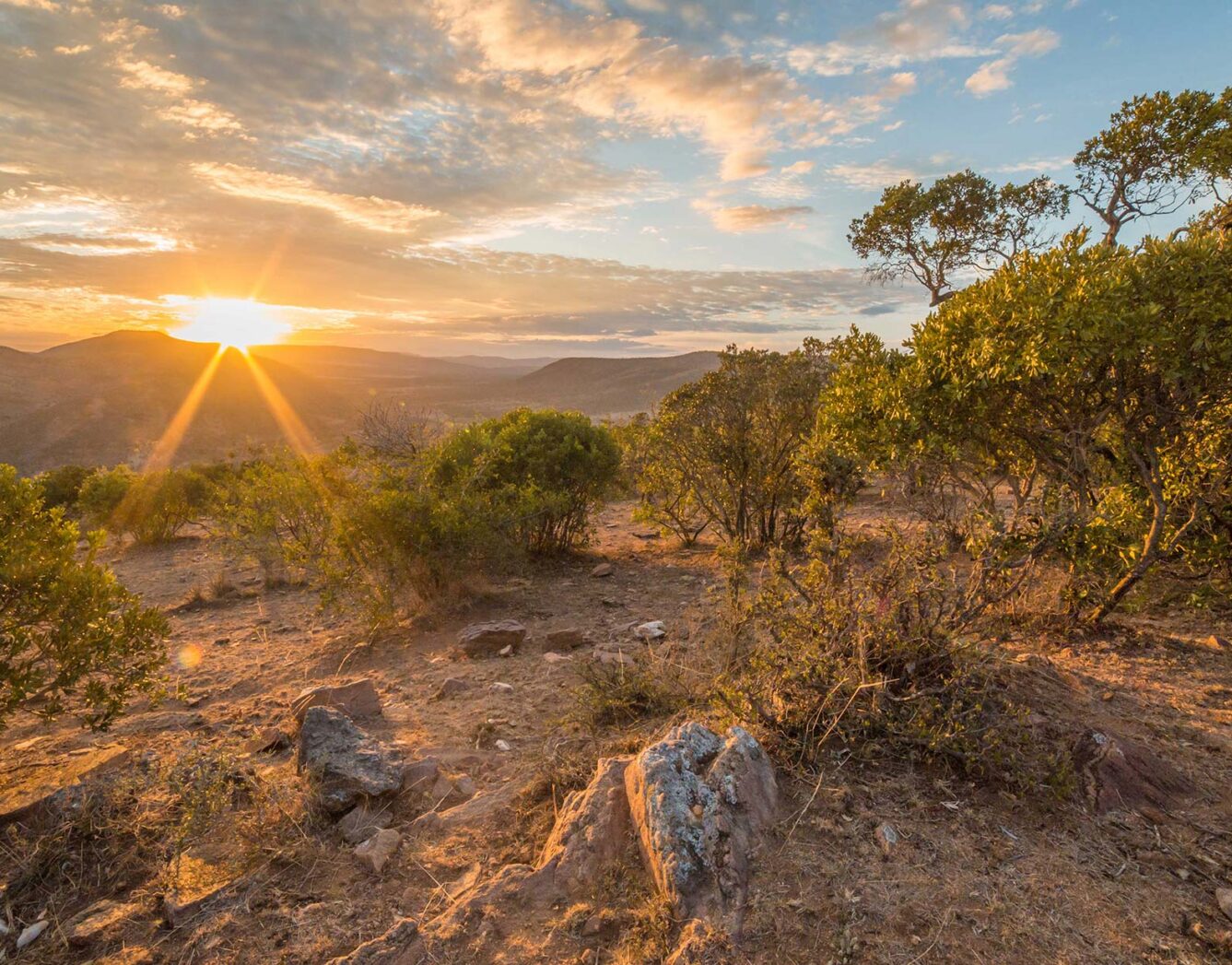 Best Game Drives — East Africa Safaris 2025/2026