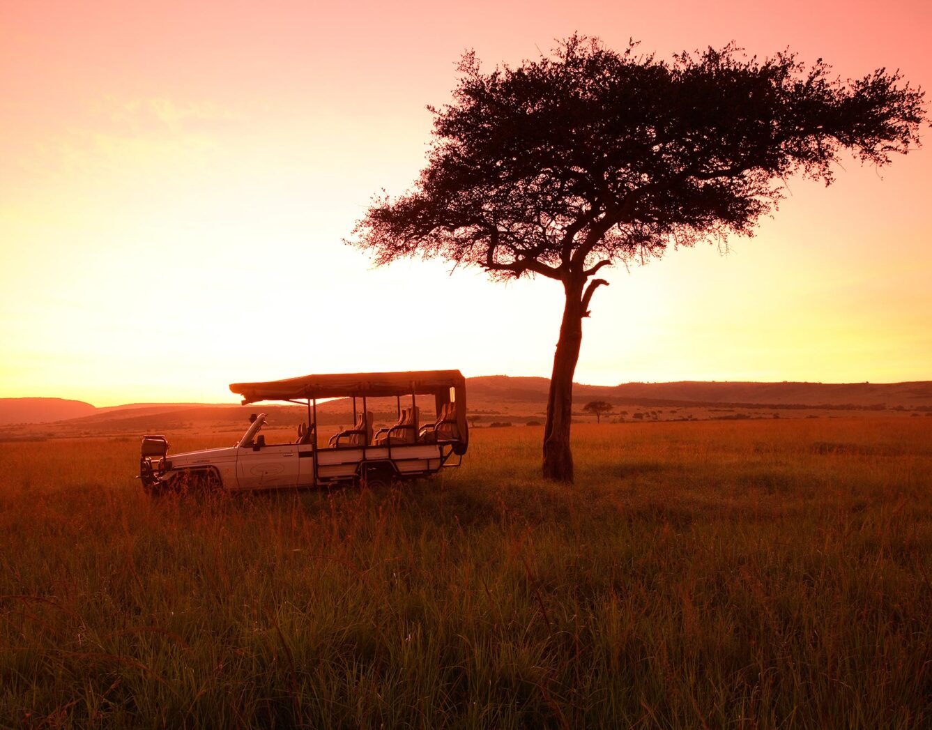 Night Game Drives on a East Africa safari
