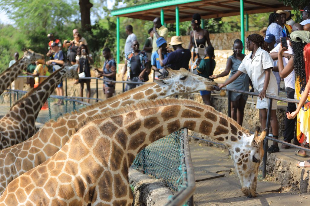 Haller Park in Bamburi Mombasa 