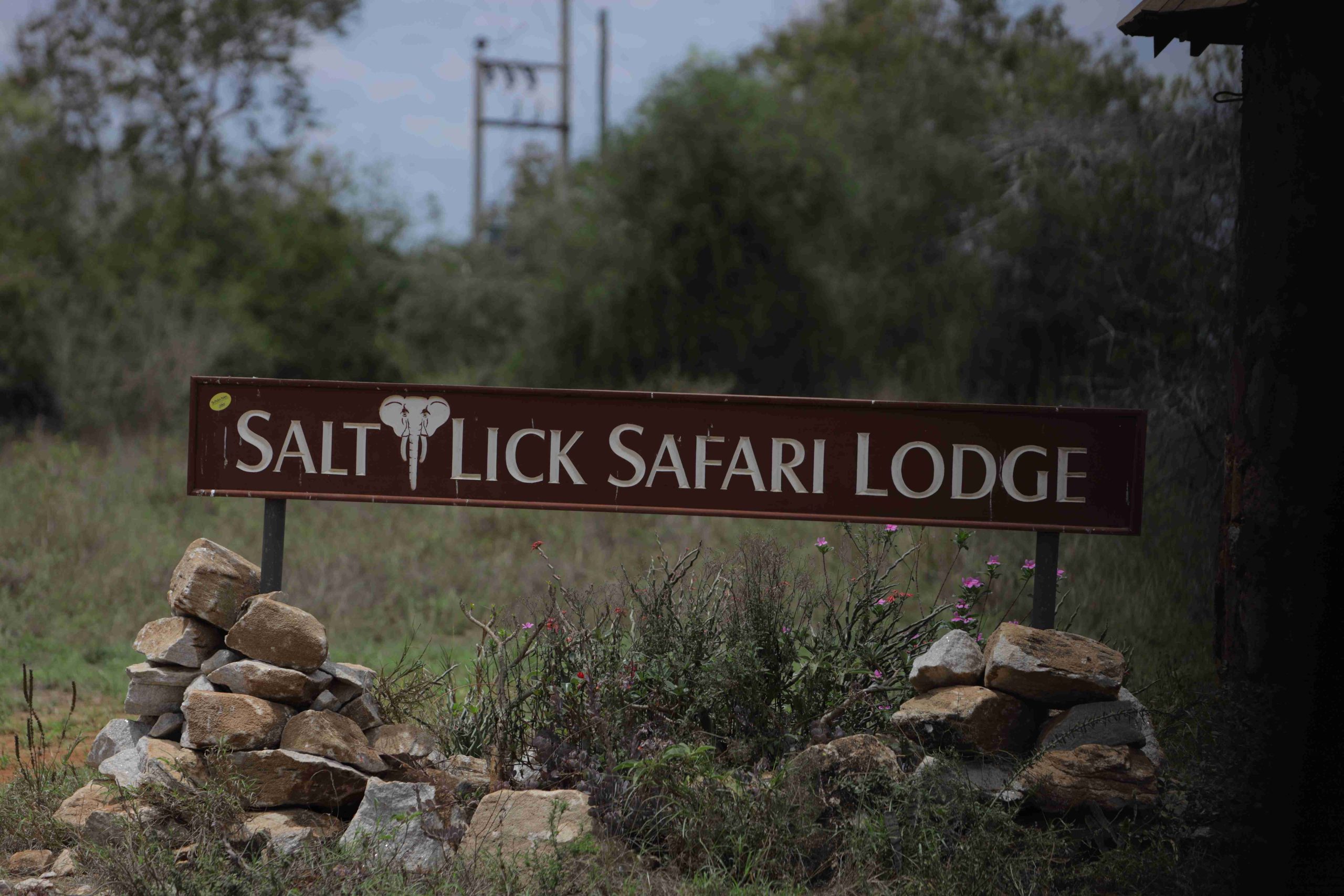 Saltlick Safari Lodge Entrance 
