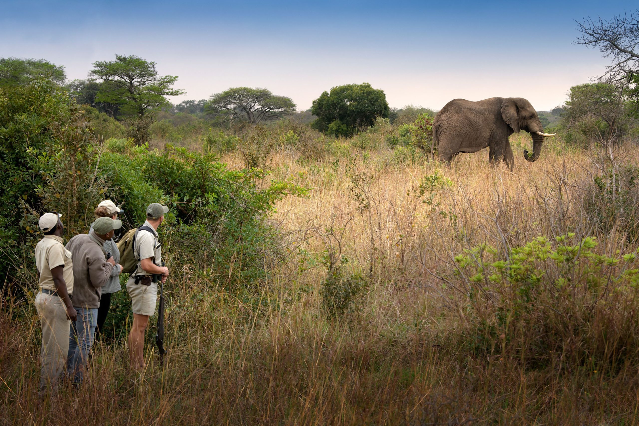 Big Game walking Safaris in Southern Africa