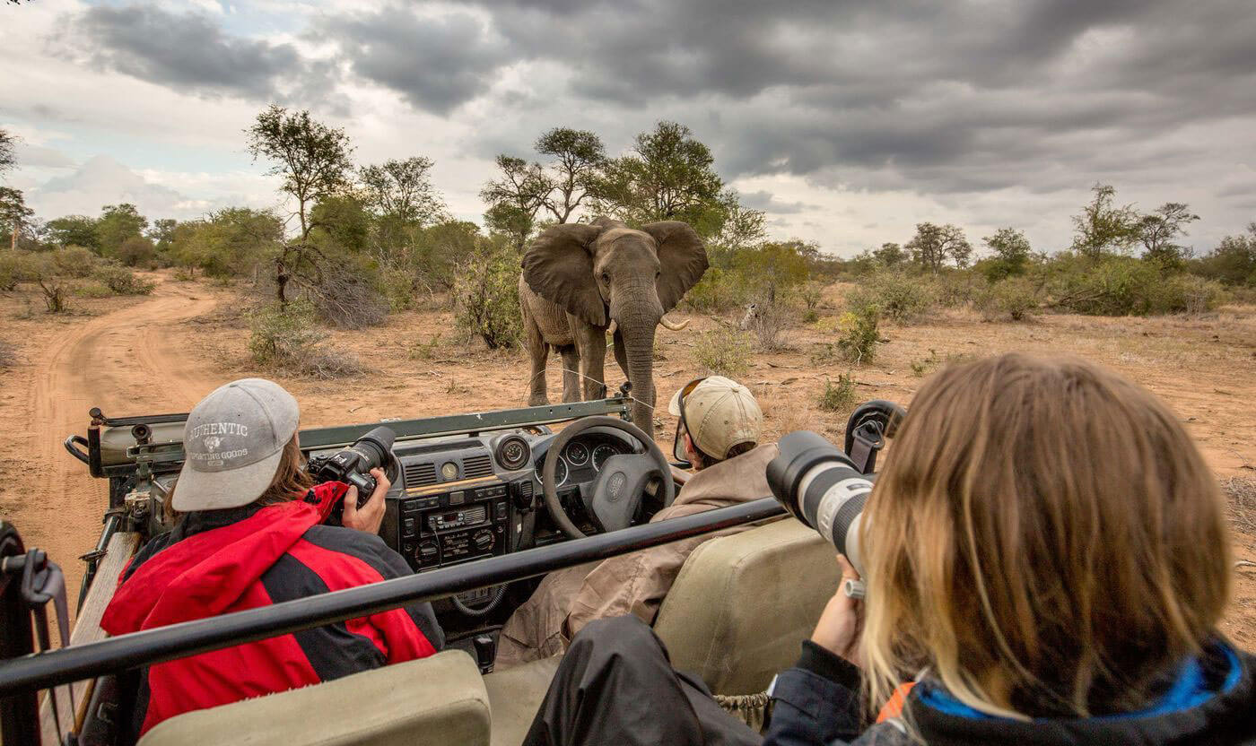Best Parks for Wildlife Photography in Southern Africa