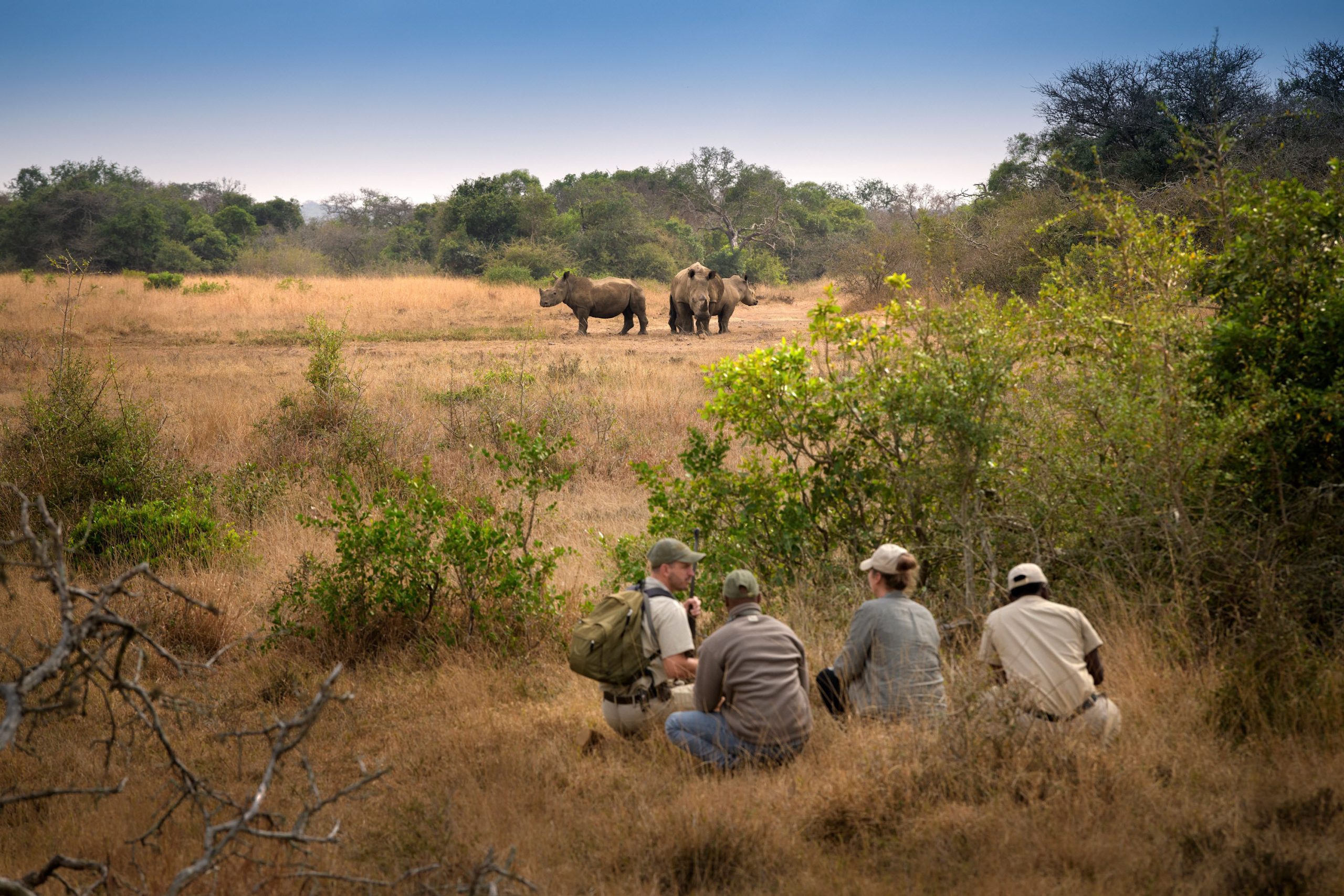 Top Walking safaris in Southern Africa
