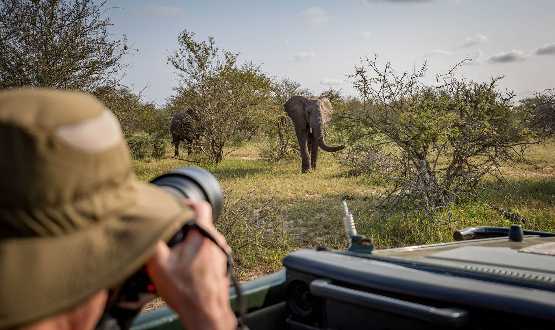 Photogrpher taking wildlife shots in Southern Africa