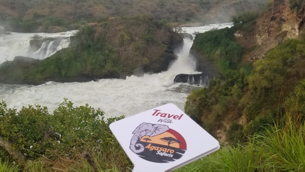 Uganda National Parks Guide: Murchison Falls National Park with Agasaro Safaris