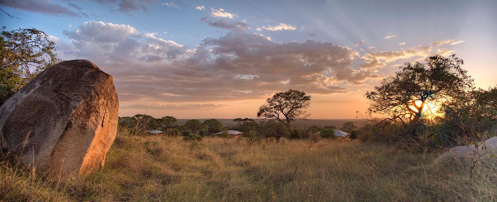 Tanzania National Parks Guides