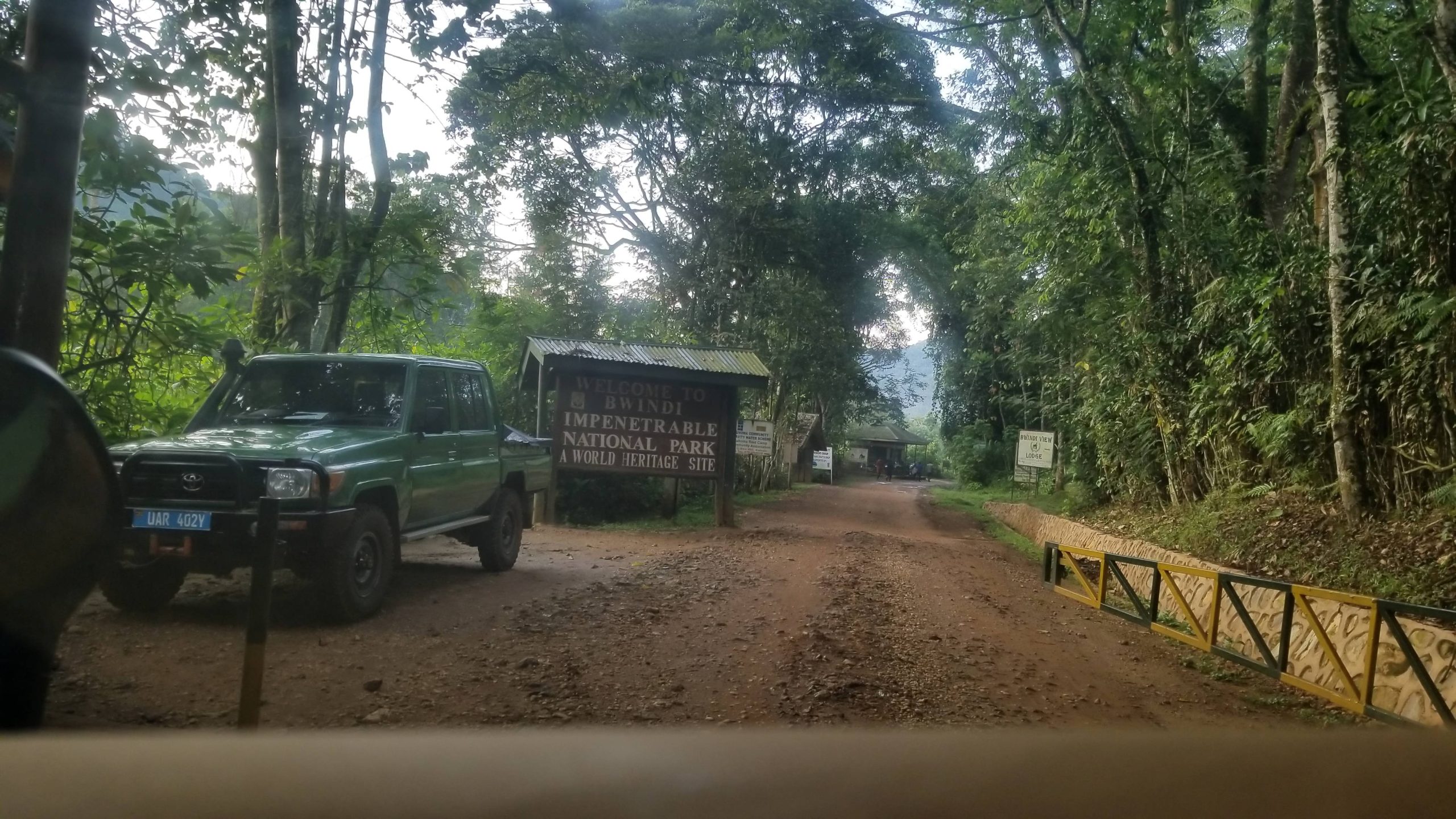 Is Uganda Safe for Gorilla Trekking? (Complete 2026/27 Safety Guide)