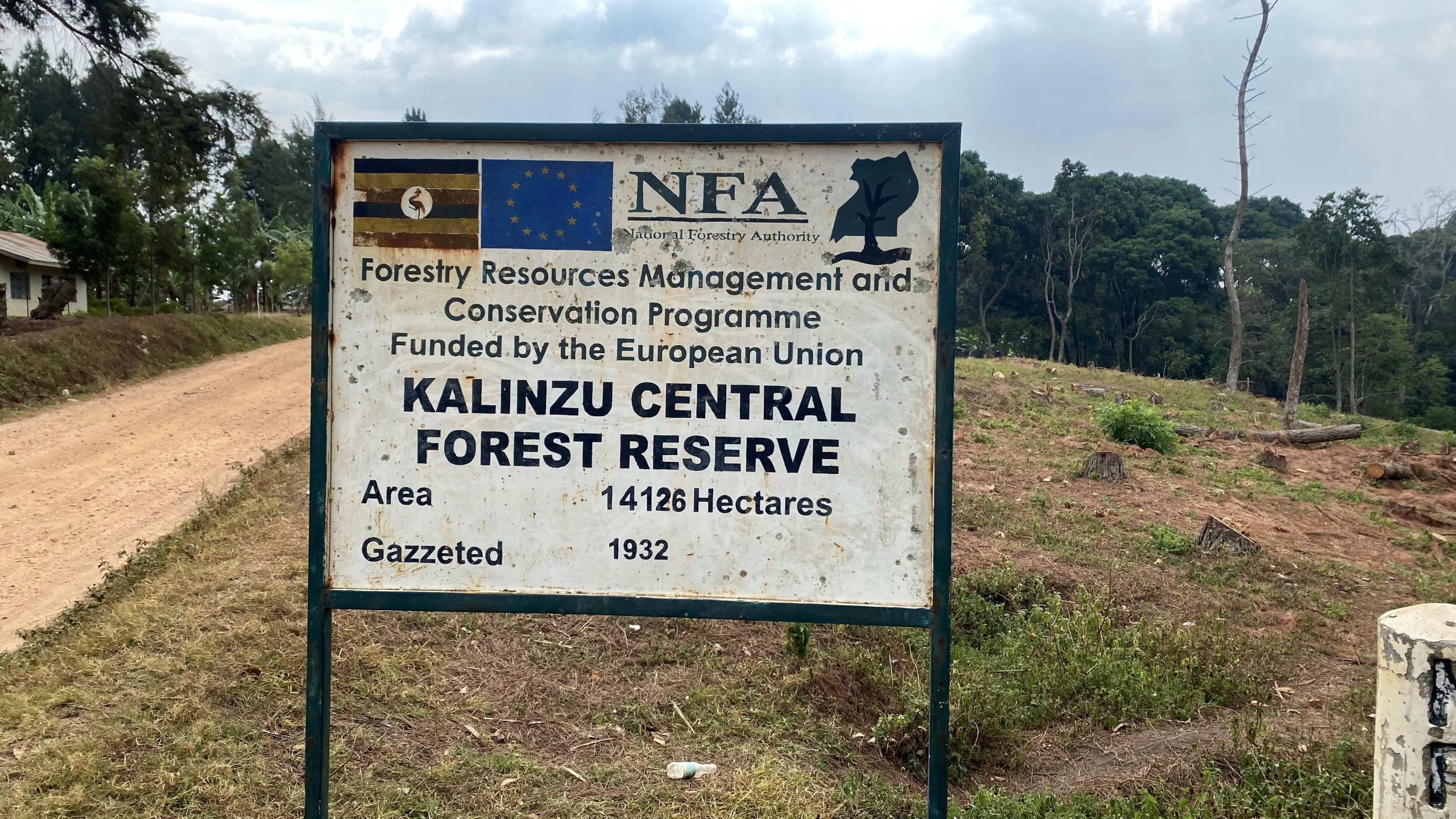What Are the Top 10 Forest Parks in Uganda? Kalinzu Forest Reserve
