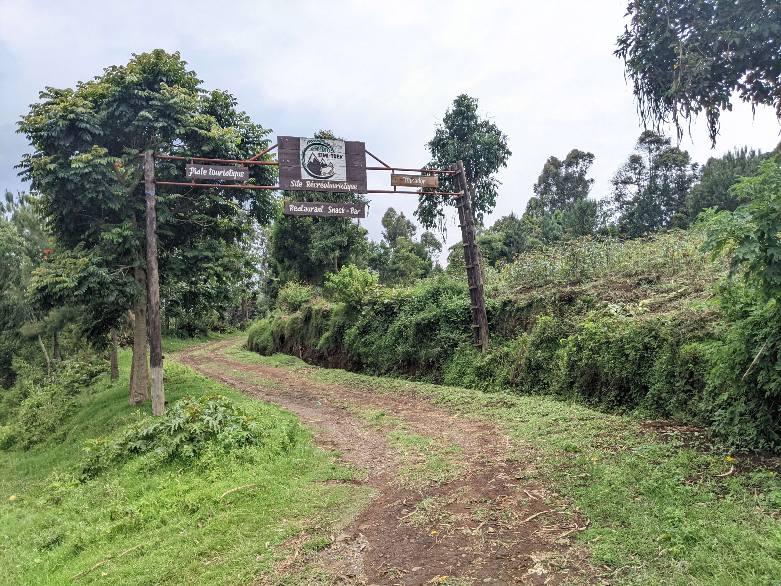 National Parks in DRC