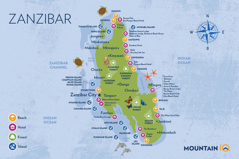 Mao of Zanzibar detailed 