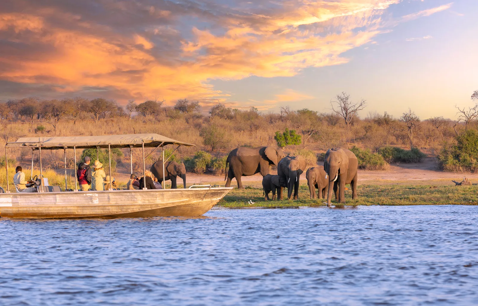 Chobe National Park- Elephants and Boat Cruise