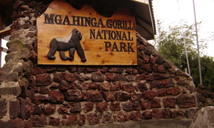 Mgahinga Gorilla National Park 