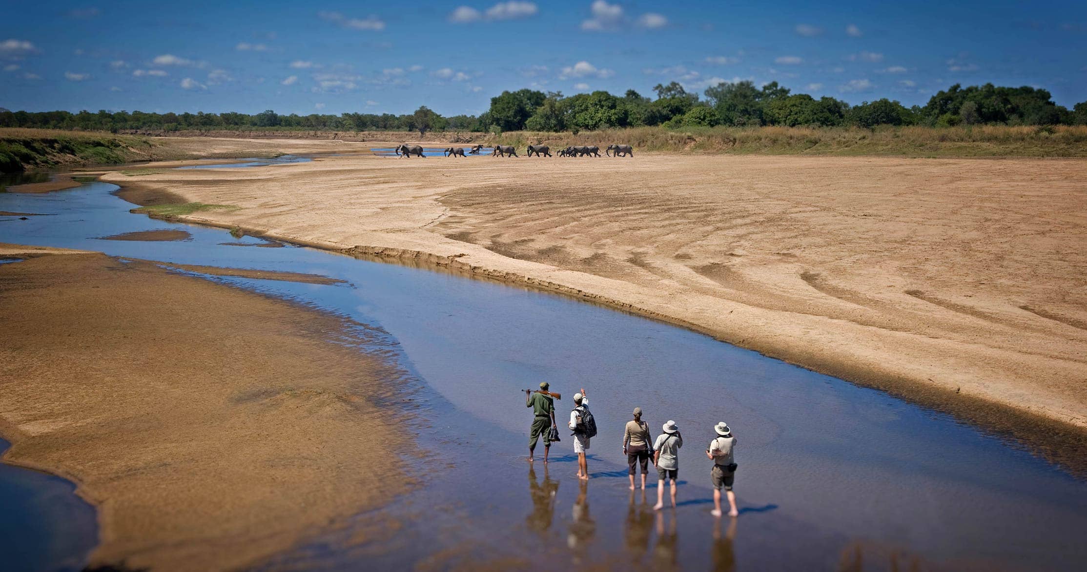 South Luangwa National Park- best for walking Safaris